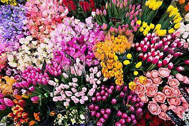 第一人称FPS《Dino Trauma》Steam抢测 爽快恐龙危机