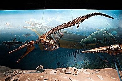 《赛博朋克2077：往日之影》黑市截图及介绍：狗镇心脏贸易枢纽